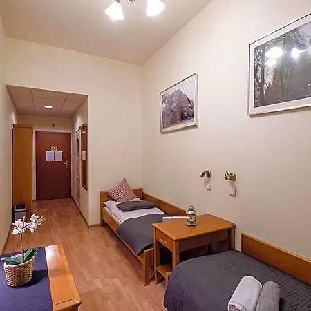 Golden Lion Guest Szewska 19